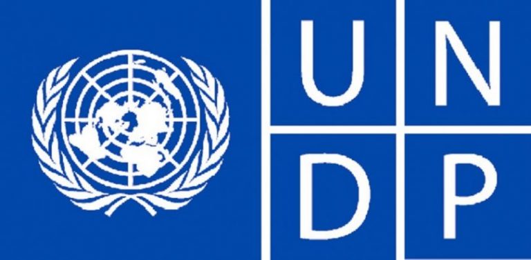 Read more about the article Pregled UNDP oglasa za posao