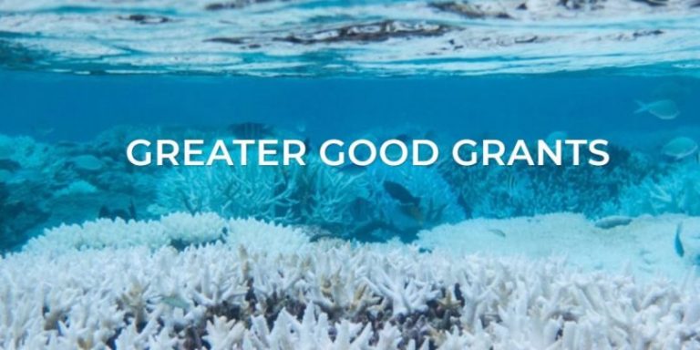 Read more about the article Grater dobre potpore