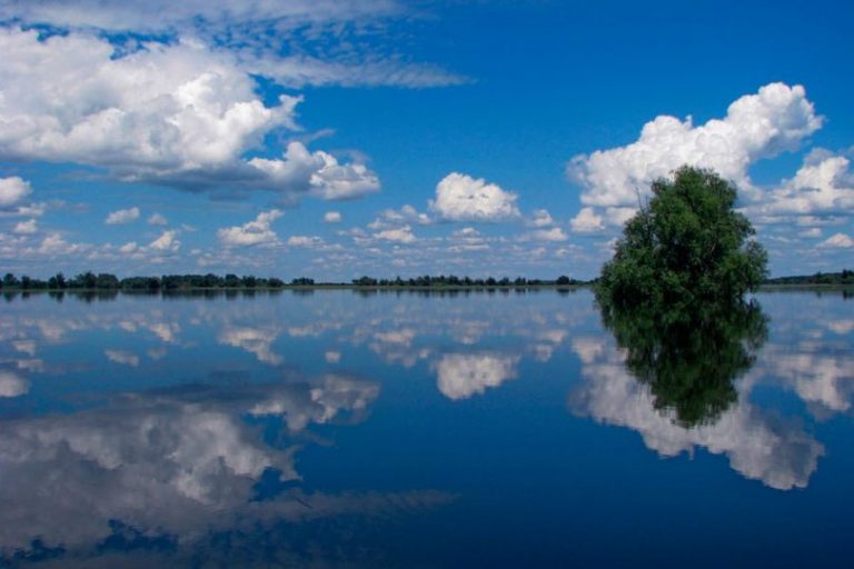 Read more about the article Poziv za projekte MEDIJI “Misli o prirodi”